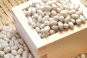 北海道産手亡豆