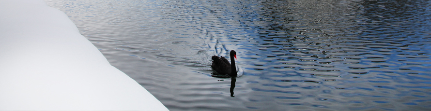 どら焼き 虎てつ